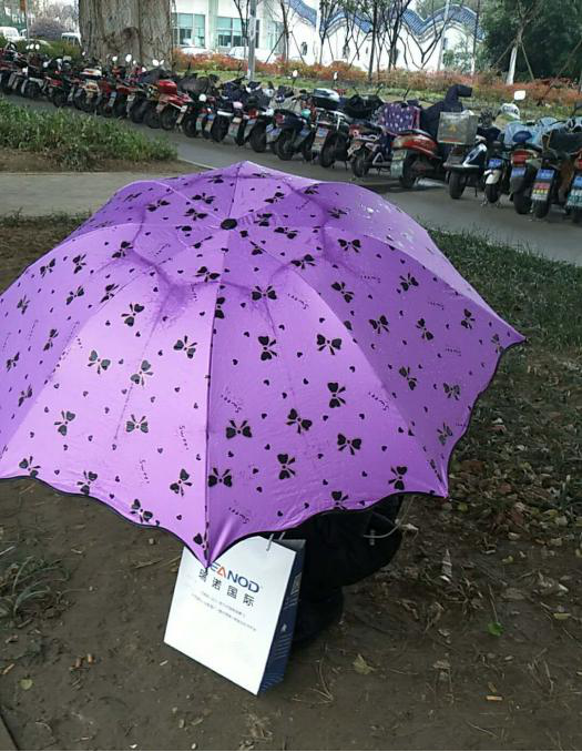 2019 意昂4的奋斗在继续 2019 意昂4的奋斗在继续